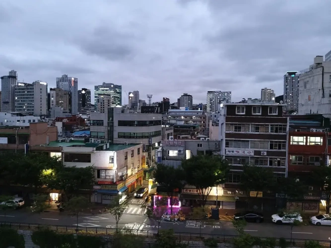Standard Single room with view