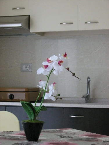 1 Bedroom Apartment with balcony and with garden view