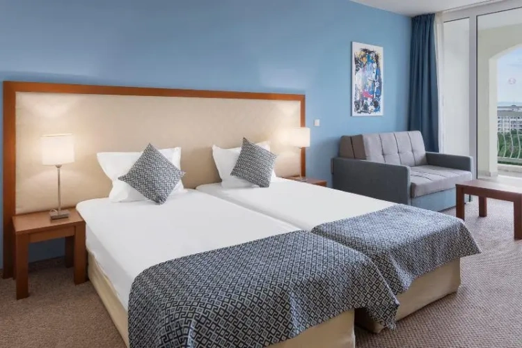 Standard Double room with balcony and with park view