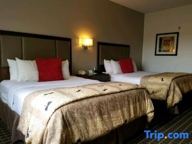 2 Bedrooms Quadruple Suite