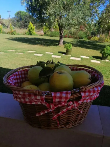 Boutique Studio in Nikiti