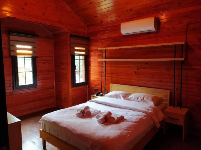 Standard Double room with mountain view