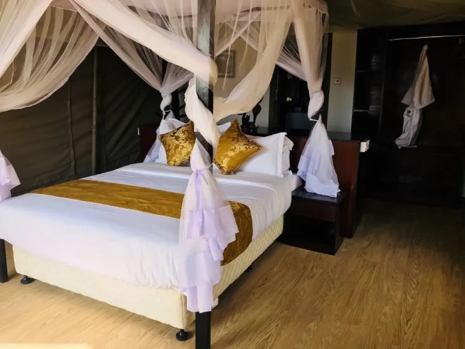 Tent