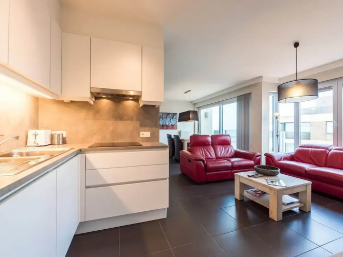 Apartment in Belgium With Sea View