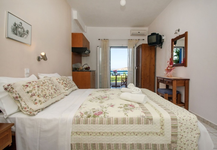 Standard Double room with balcony and with view