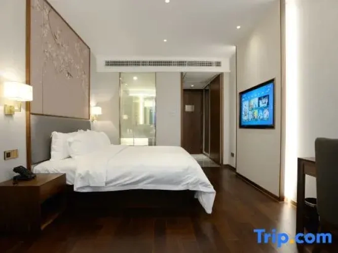 Executive Single room
