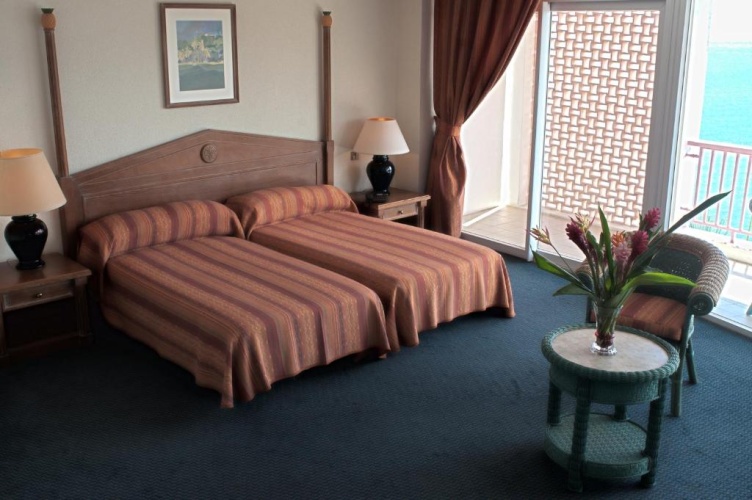 Standard Double room with balcony and with sea view
