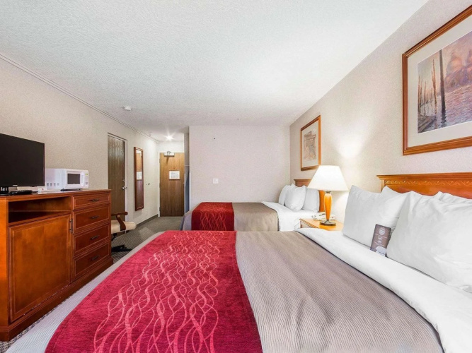 Comfort Inn & Suites