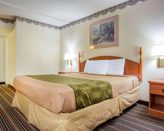 Rodeway Inn Stone Mountain
