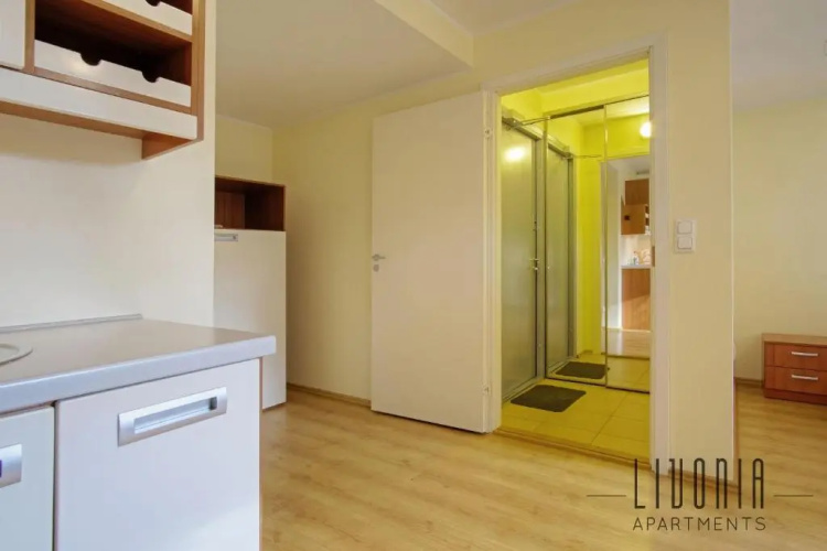 Bright studio with FREE PARKING and SELF CHECK-IN