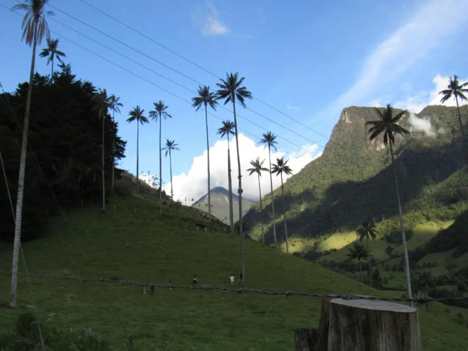 Hotel Momotus Cocora