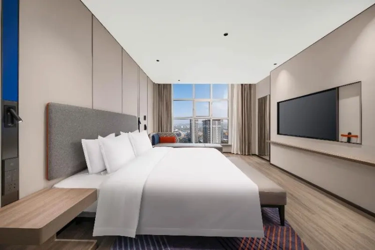 1 Bedroom Single Suite with balcony