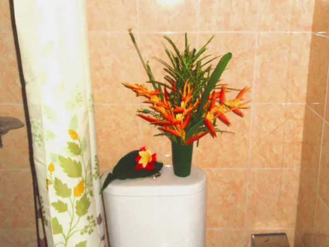 Shriman Yoga Bungalow