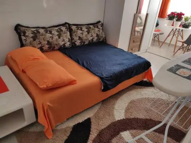 Apartment Igor