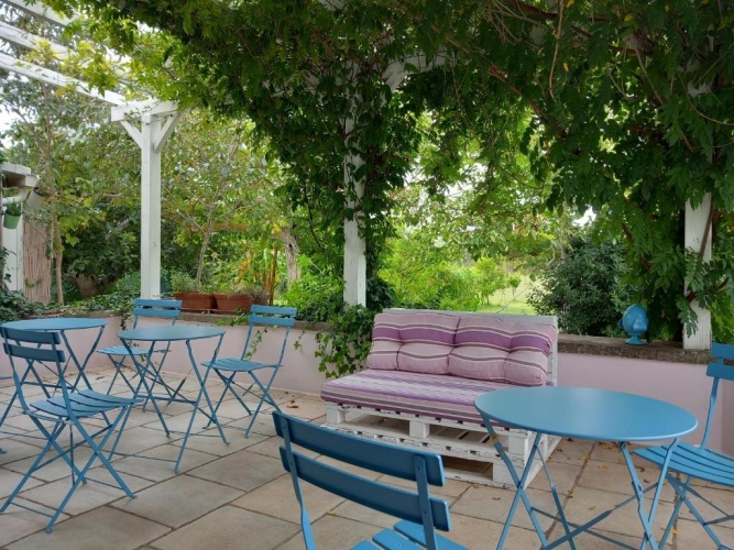 Standard Double room with garden view