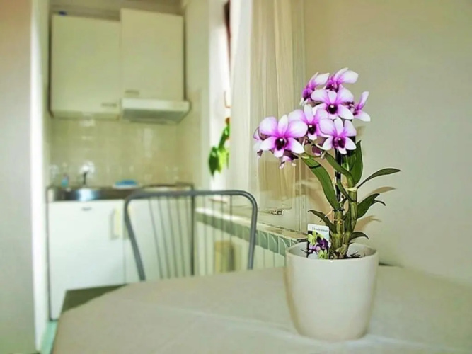 Apartment Koric