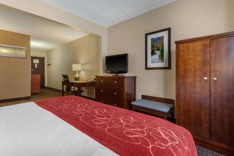 Standard Double Suite