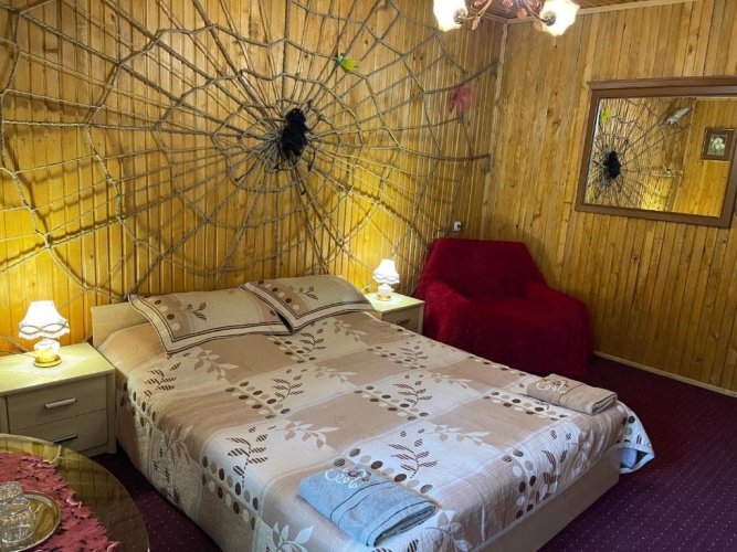 Standard Double room with balcony and with view