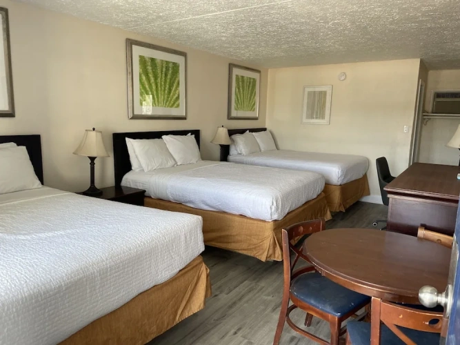 Standard Sextuple room