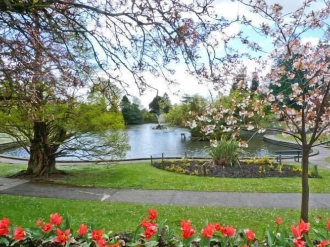 Cottage