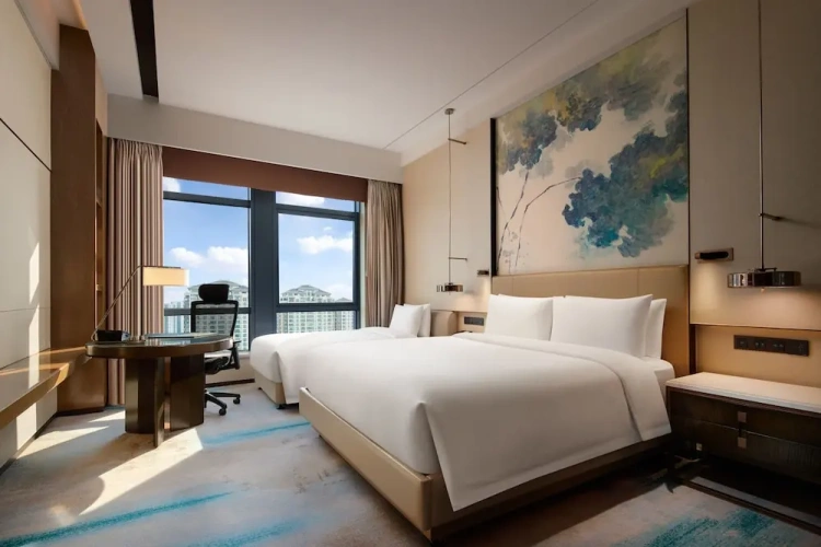 Standard Double room with city view