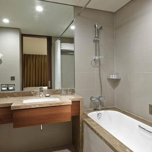 Lotte City Hotel Myeongdong photo 10