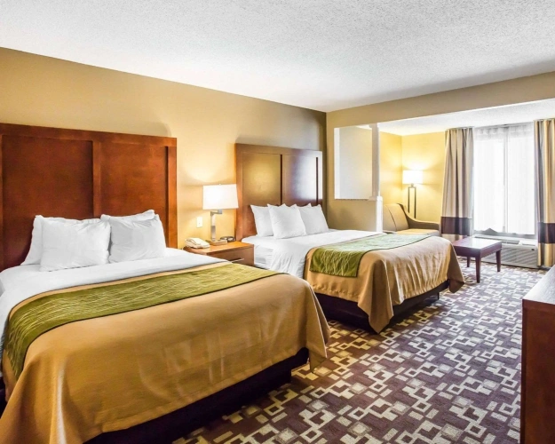 Quadruple Suite