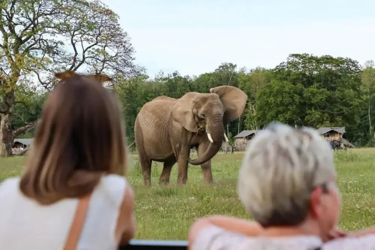 Knuthenborg Safaripark