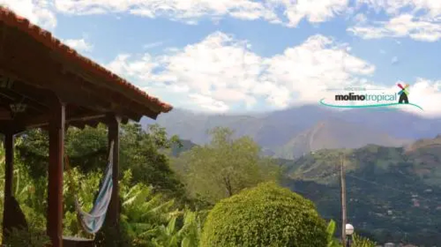 Molino Tropical
