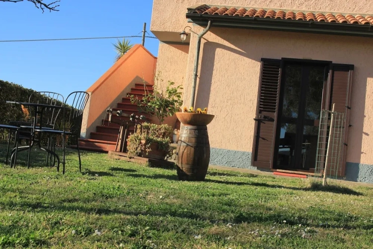 Comfort room with garden view