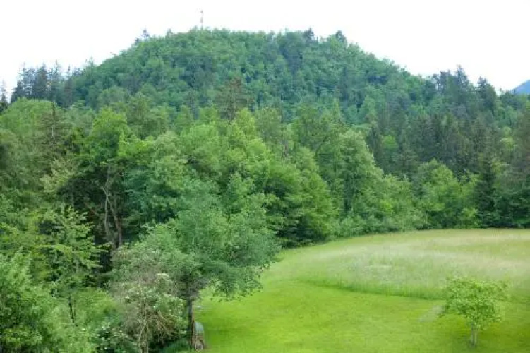 Holiday Lake