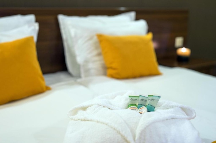 Standard Double room with balcony and with view