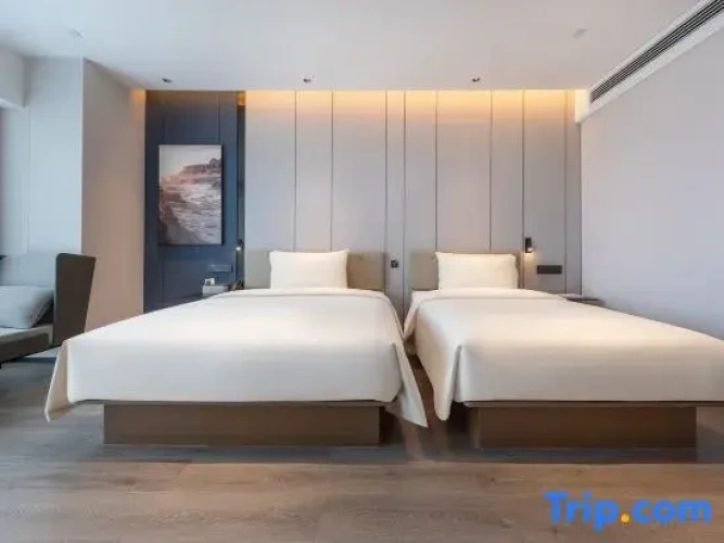 Executive Twin room with city view