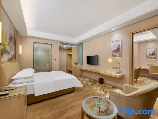 1 Bedroom Executive Suite