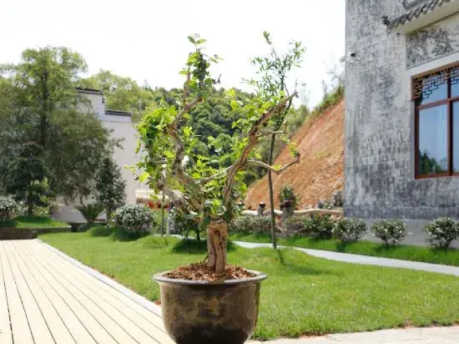 Changlinyuan Hostel
