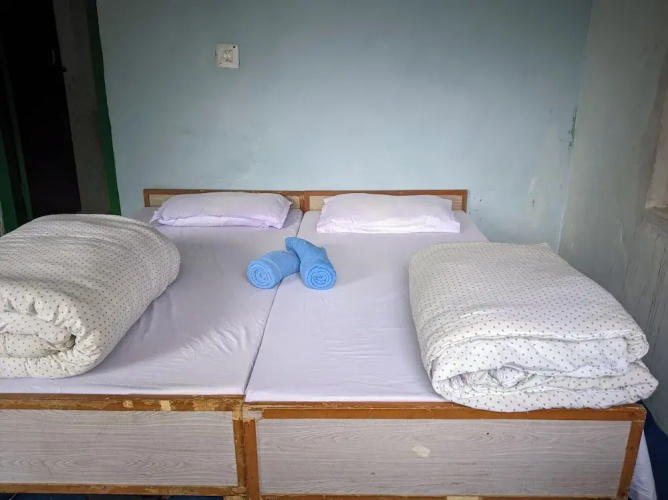 Falcon Homestay