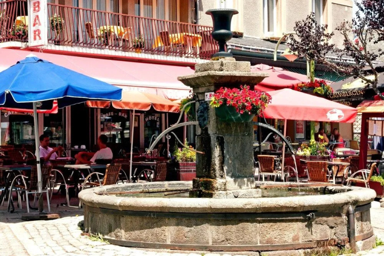 Logis Auberge des Cevennes