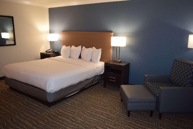 Quadruple Suite