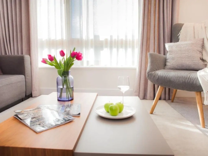 Deluxe Apartment