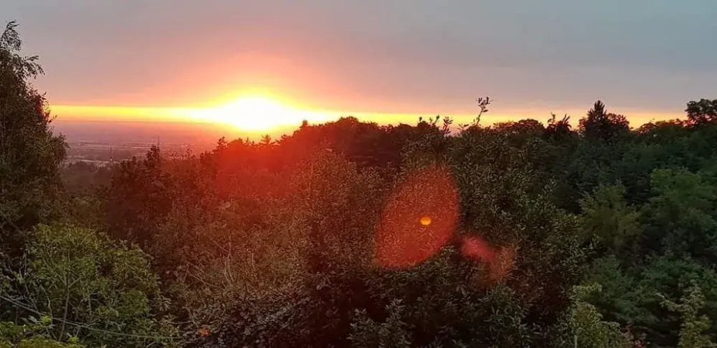 L'Orto di Ortensia