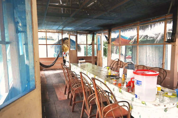 Ecological Jungle Trips & Amazon Lodge