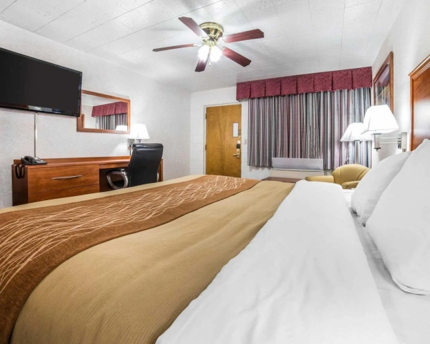 Standard room