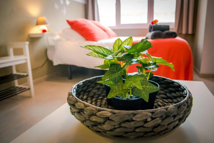 Holidays 2 Malaga Apartments