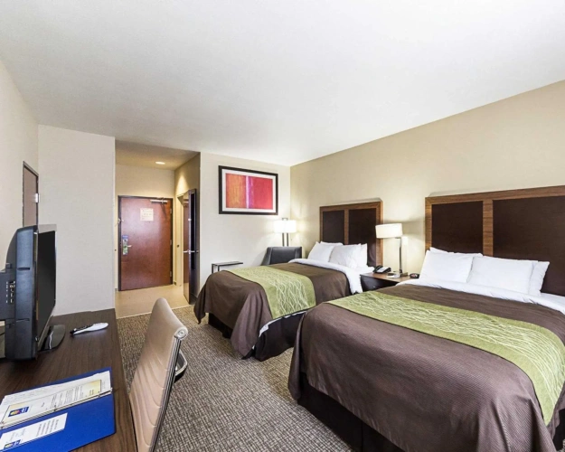 Standard Quadruple room