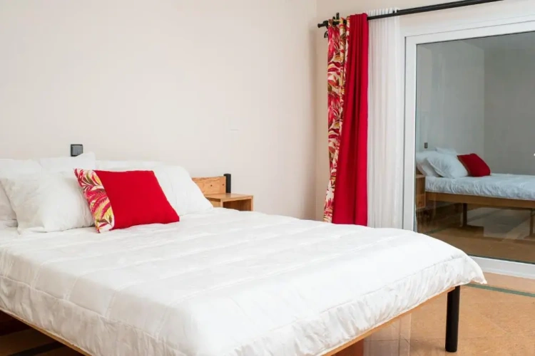 Standard Double room with garden view