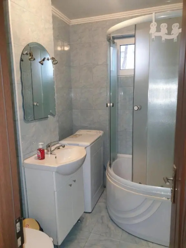 Alin Apartament
