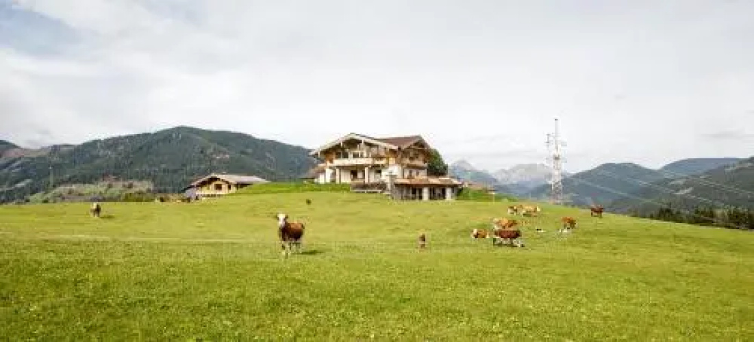Chalet Winterbauer