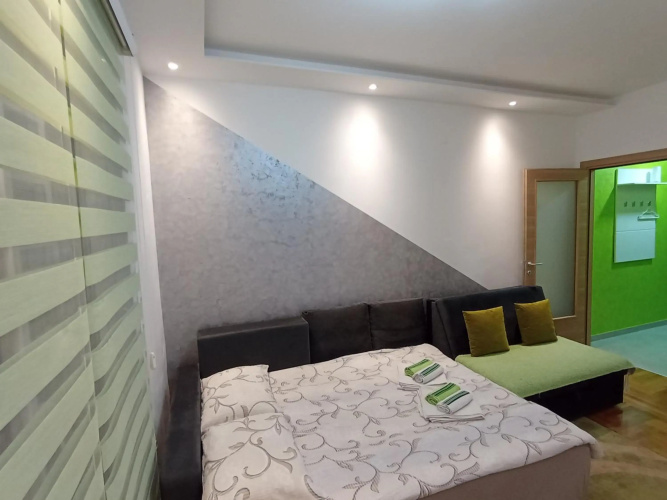 Apartment Leo 11