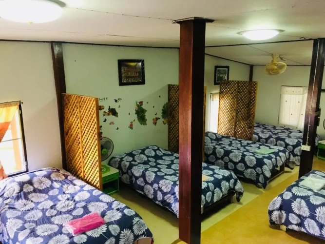 Bed in Dorm