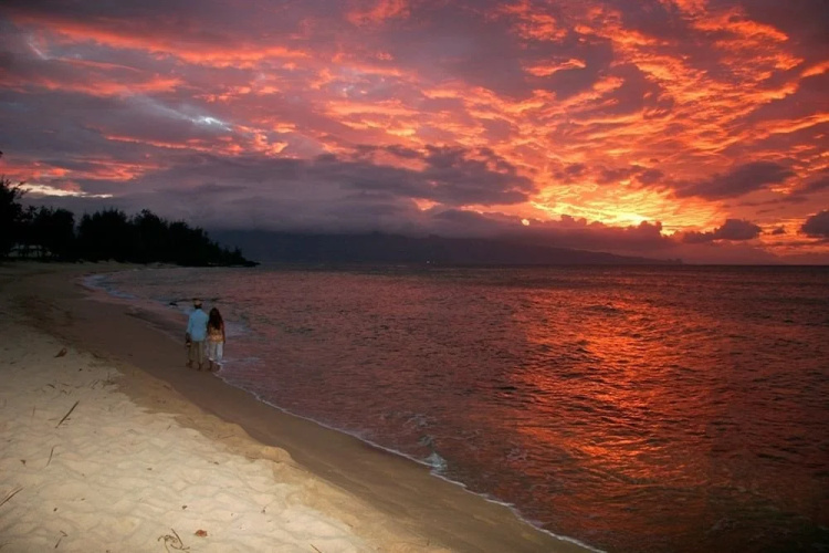 Maui Beachcomber
